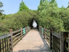 -吴淞炮台湾湿地森林公园烧烤区