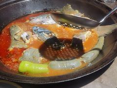 -肥鱼屯活鱼锅(惠工街店)