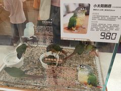 -帕帕拉兹宠物(亚洲旗舰店)