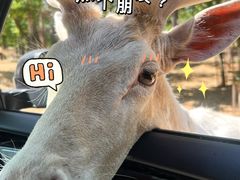 -秦皇岛野生动物园