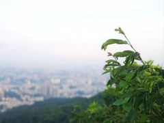 -广州市白云山风景名胜区