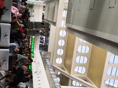 -厦门高崎国际机场-T3航站楼