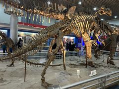 -国家自然博物馆