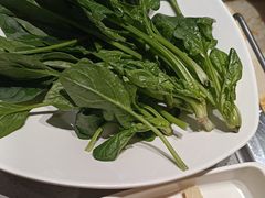-海底捞火锅(吾悦广场店)