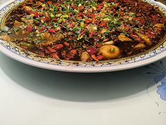-新概念来凤鱼(璧山店)