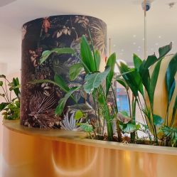 -本小姐美学·半永久纹眉野生眉