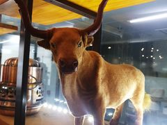 -九府羊鲜羊火锅·烧烤·小海鲜(华汇大厦店)