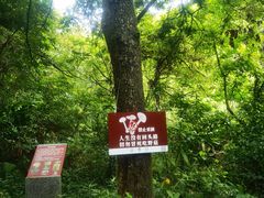 -梧桐山风景名胜区