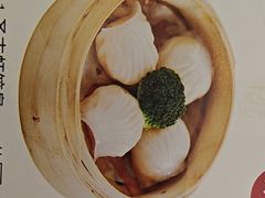 -圣丰城酒家·宴会(宝安大仟里店)