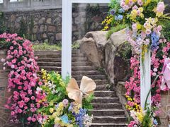 -白马涧龙池景区