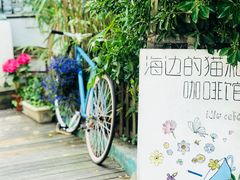 -海边的猫和咖啡馆