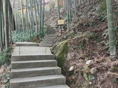 -天台山景区