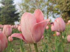 -长春公园(普阳街道)