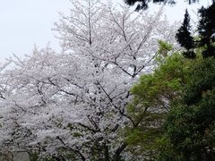 -浙江省博物馆(孤山馆区)