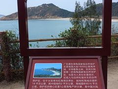-广东惠东海龟国家级自然保护区