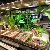 原来长沙也有这种好地方!自助吃到撑!