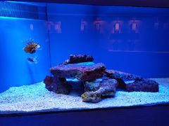 -上海海洋水族馆