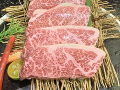 -樱嘢·炭火烧肉(惠南店)