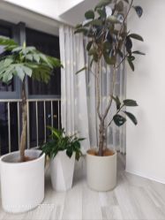 -HEYAN荷妍专业脱毛连锁机构