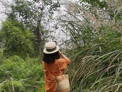 -桤木河湿地公园