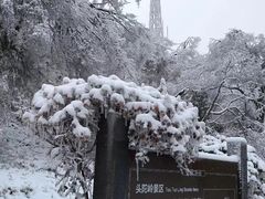 -紫金山山顶公园