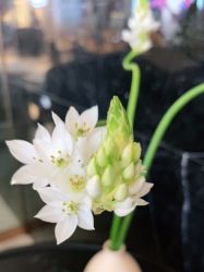 -罗亚帝造型·烫发染发