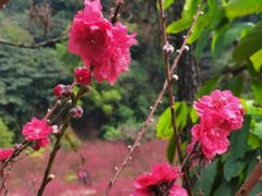 -白水带风景区体育公园