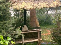 -云南野生动物园