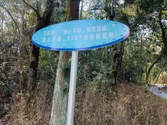 -江西阳明山国家森林公园