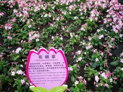 -长春农博园
