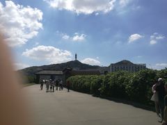 -洋山深水港