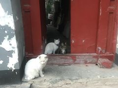 -护国寺小吃(新街口店)