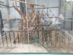 -南宁市动物园