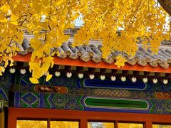 -北京国子监胡同