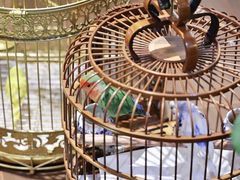 -锦府盐帮·侯宅(五棵松万达店)