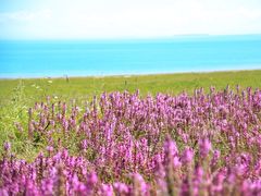 -青海湖国家重点风景名胜区