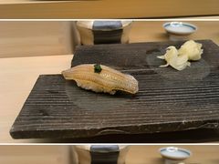 -焘