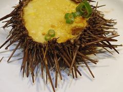 -日月昇渔家菜·海肠捞饭·大连海鲜(星海公园店)