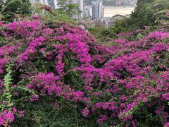 -鸿山公园