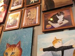 -猫咪博物馆(顶澳仔猫街店)