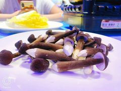 -千岛蚝高压锅生蚝·人参火锅(白云万达店)