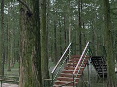 -渌洋湖湿地公园