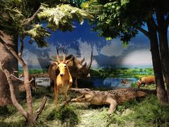 -国家自然博物馆