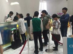 -深圳东部华侨城瀑布酒店