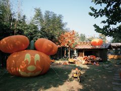 -HERRE·FARM 赫尔露营农场·团建聚会包场