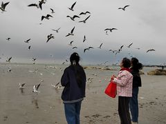 -老虎石海上公园