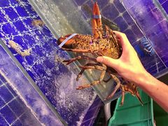 -蚝堡海鲜·威海菜·海肠捞饭·烧烤·亚洲吃蚝公司(幸福门店)