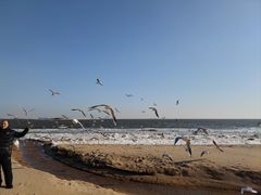 -金梦海湾浴场