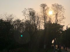 -东湖落雁景区
