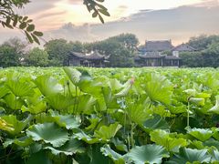 -高子水居
